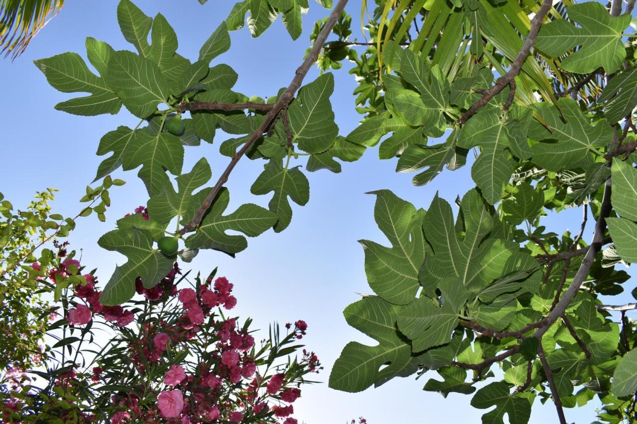 Romantica San Bartolomé Εξωτερικό φωτογραφία