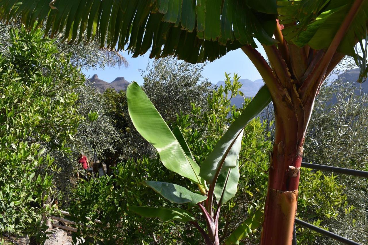 Romantica San Bartolomé Εξωτερικό φωτογραφία